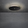 Blade Spot von Escale