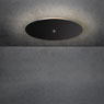 Blade Spot von Escale