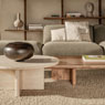 BC 20 T-Rox Couchtisch von Janua