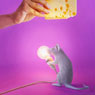 Mouse Lamp von Seletti
