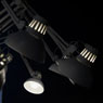 Dear Ingo von Moooi