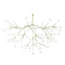 Heracleum III von Moooi
