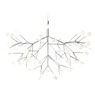 Heracleum III von Moooi