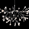 Heracleum III von Moooi