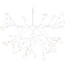 Heracleum III von Moooi