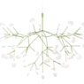 Heracleum III von Moooi