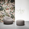 Heracleum III von Moooi