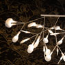 Heracleum III von Moooi