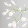 Heracleum III von Moooi