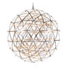 Raimond von Moooi