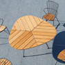 Leaf von Houe
