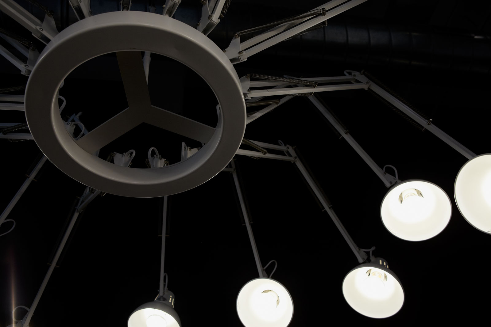 Dear Ingo von Moooi