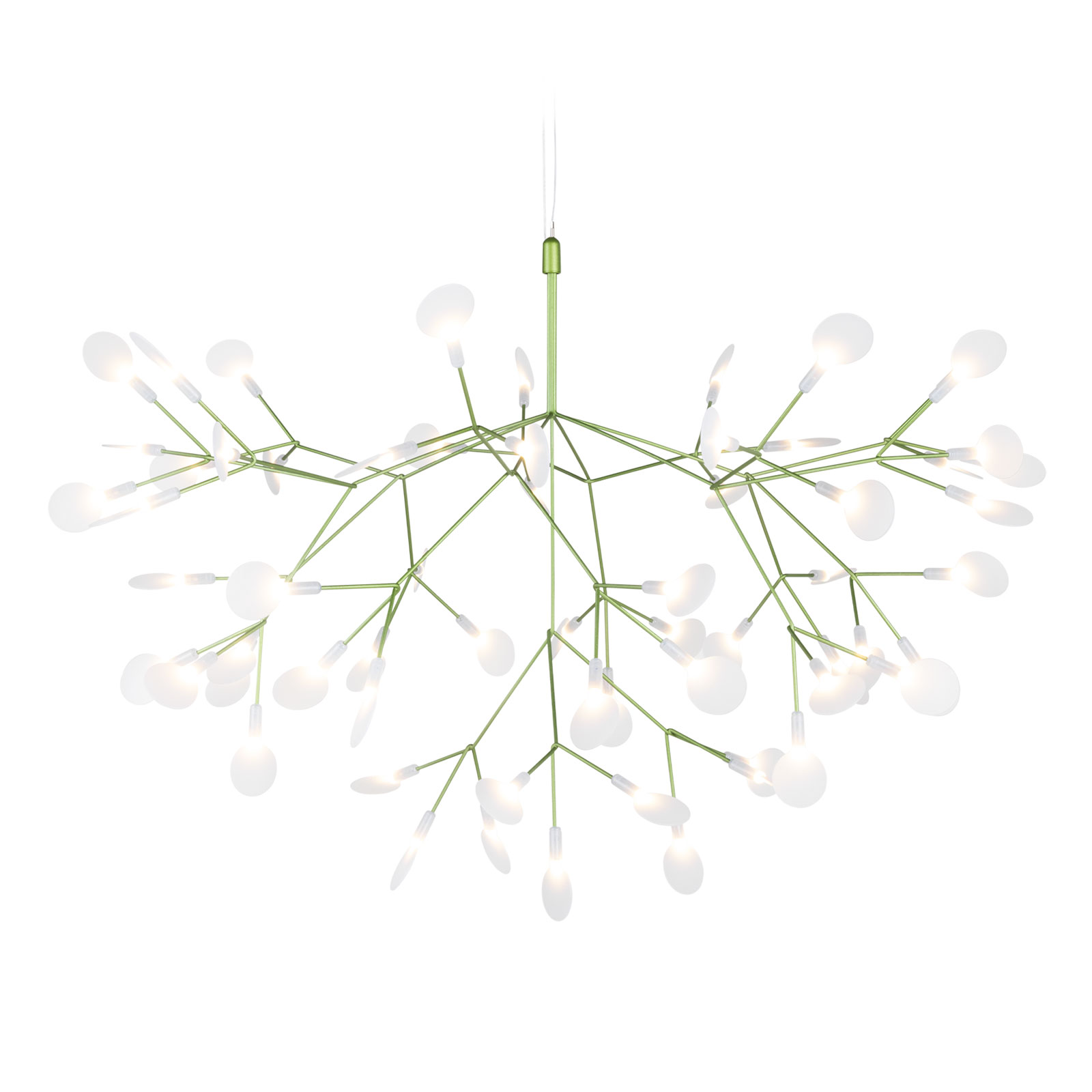 Heracleum III von Moooi