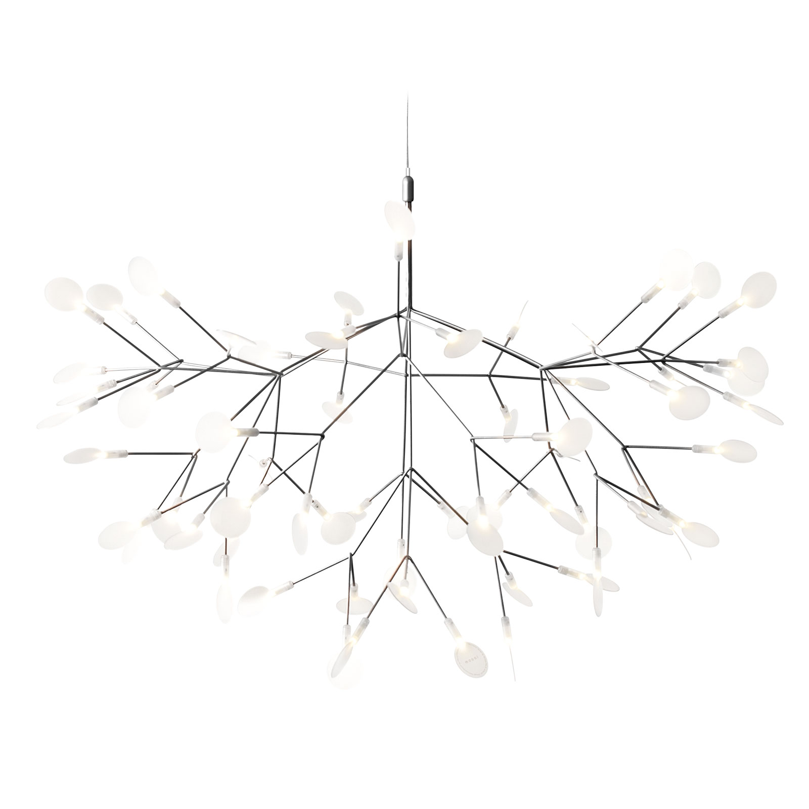 Heracleum III von Moooi