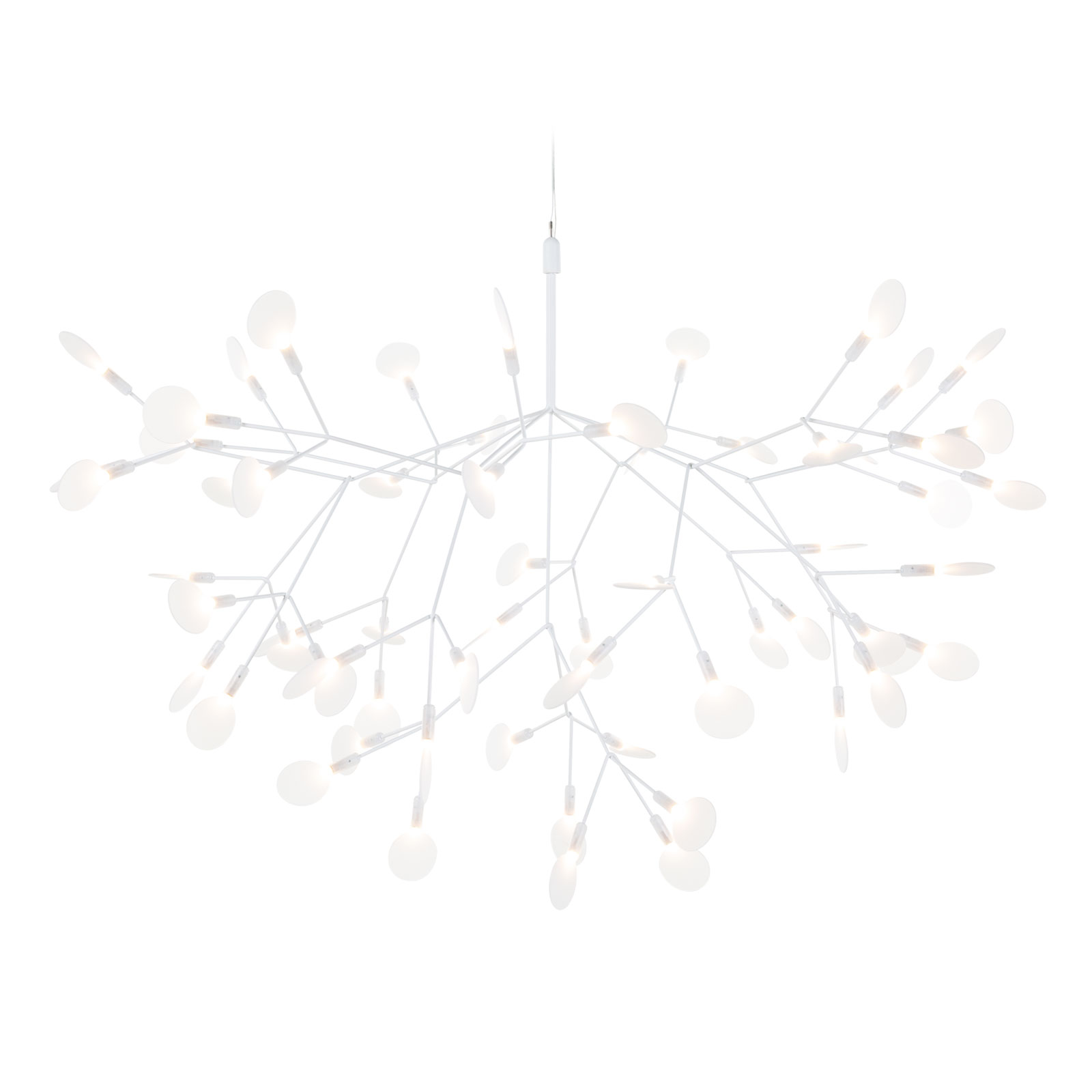 Heracleum III von Moooi