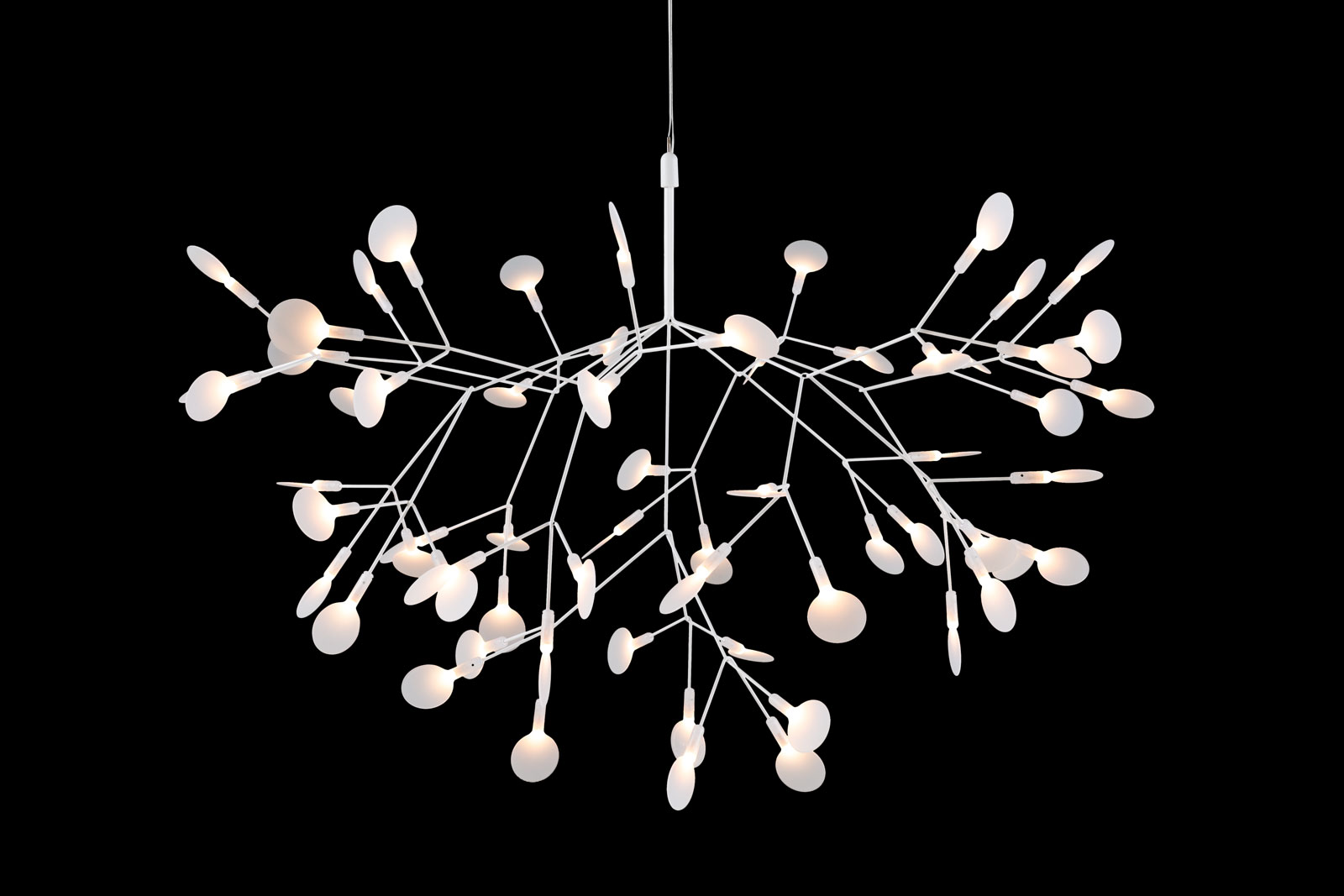 Heracleum III von Moooi