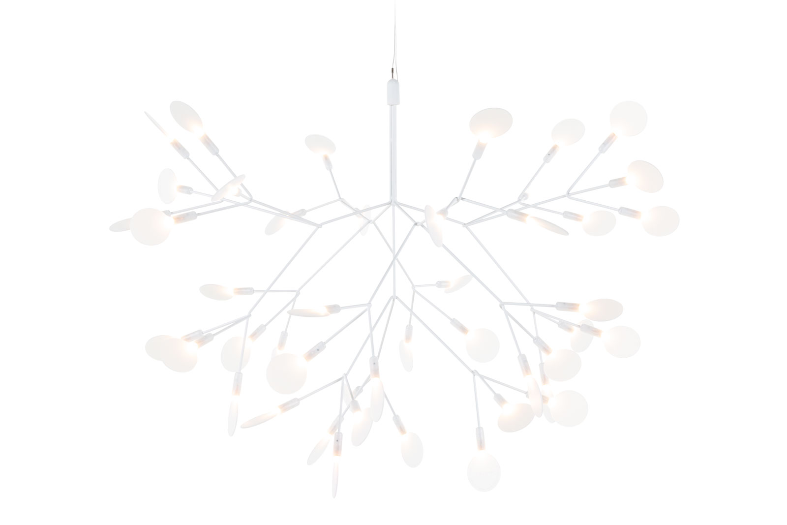 Heracleum III von Moooi
