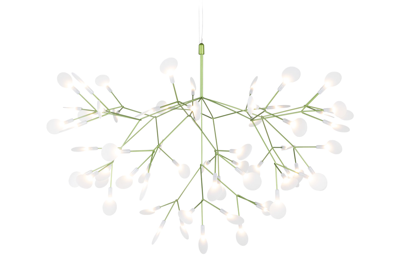 Heracleum III von Moooi