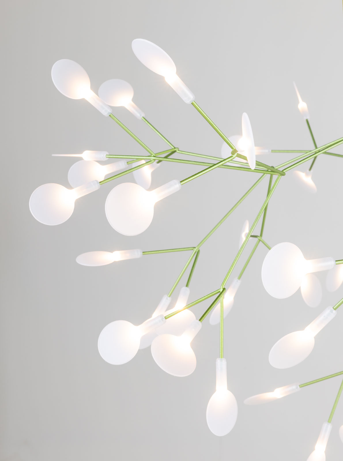 Heracleum III von Moooi