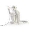The Monkey Lamp Sitting Version