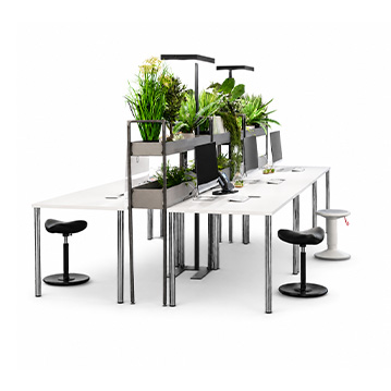 Cramer Holzmanufaktur Arcum Schreibtisch