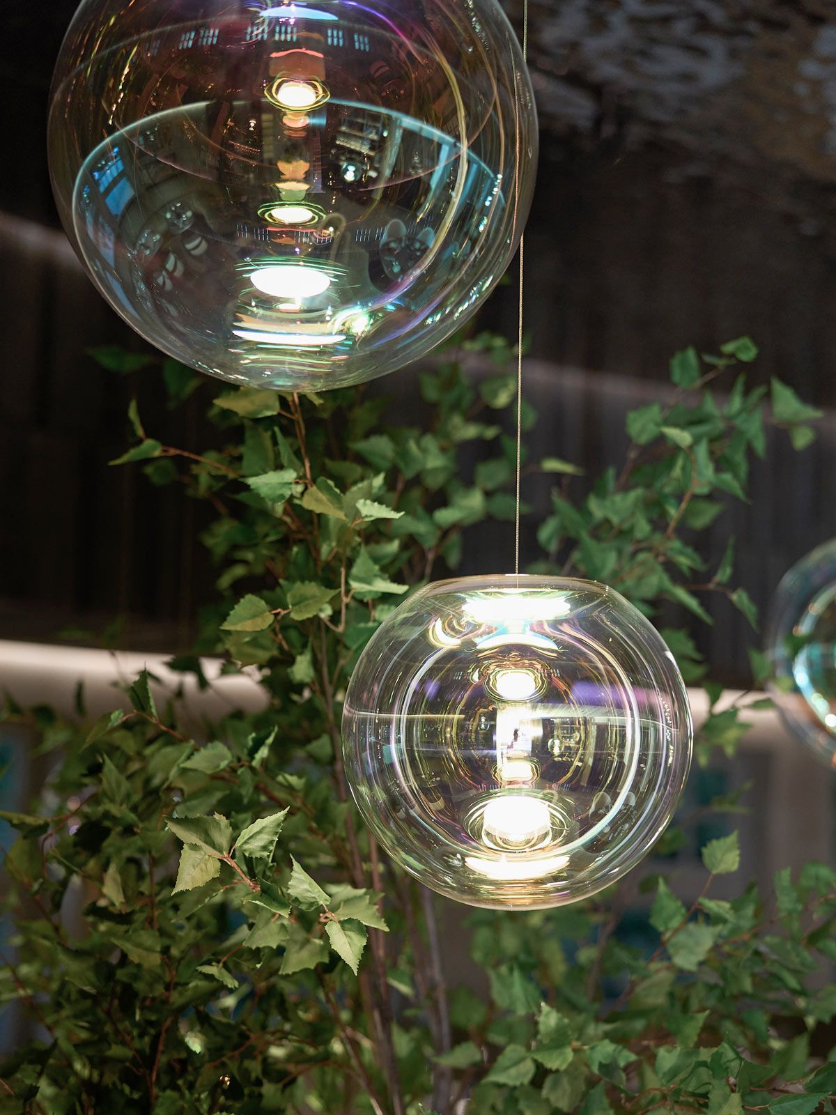 Gastronomie im Herzen des Stadtparks - 