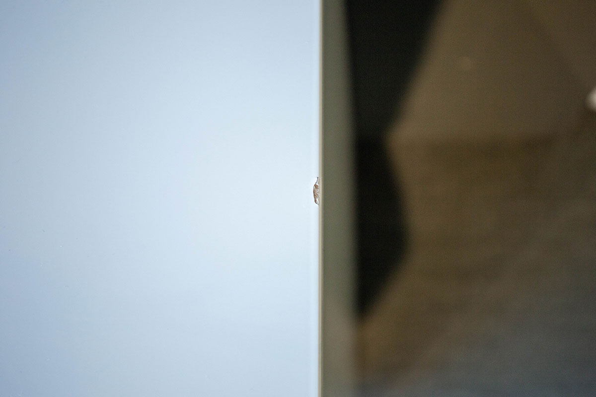 Sideboard Velare von Cramer Holzmanufaktur