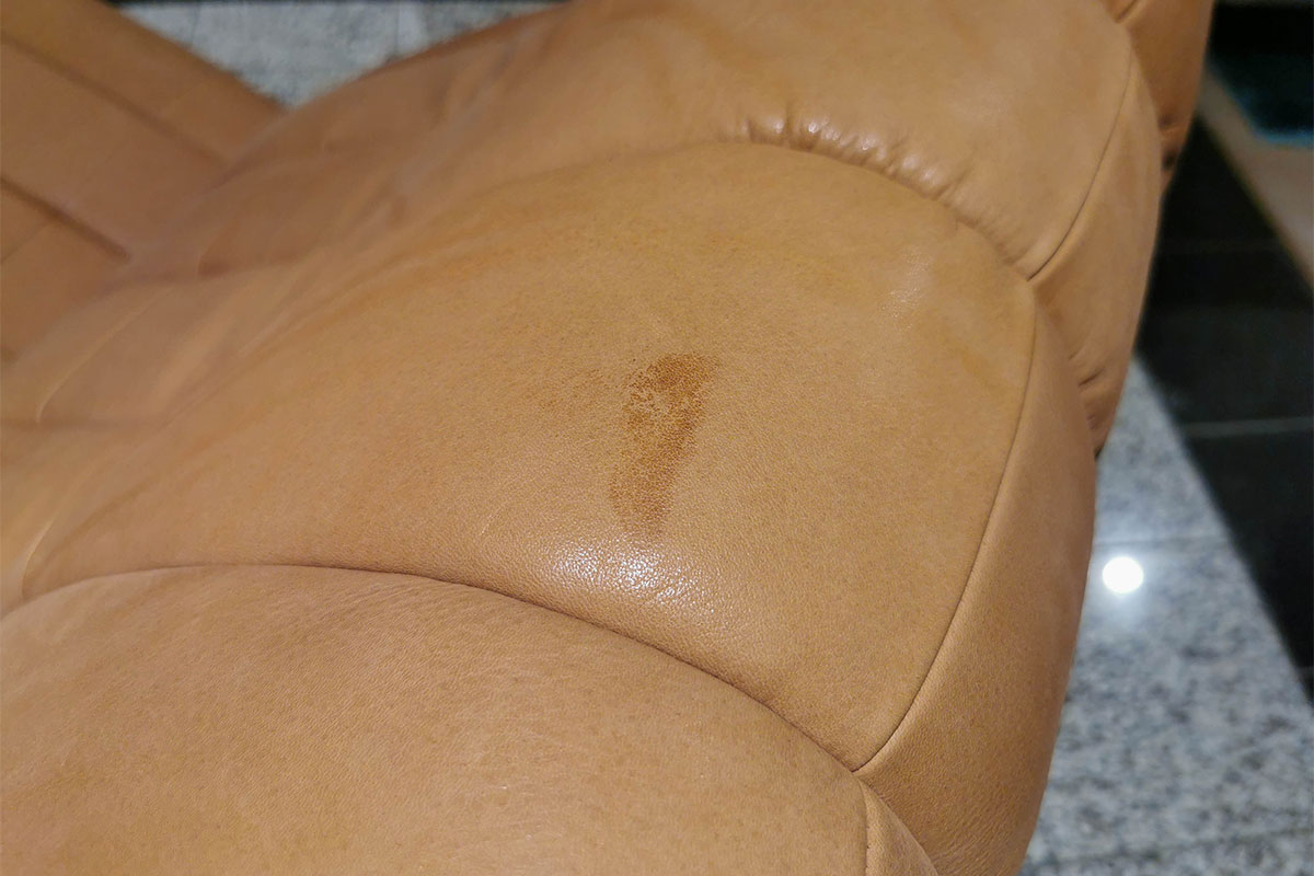 Liege Yoga DS-266 von De Sede